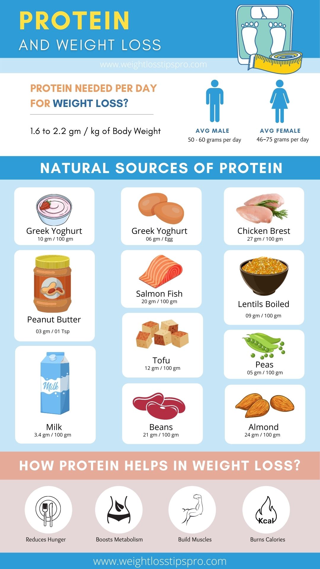 Eating Protein to Lose Weight & Natural Sources of Protein - Weight Loss