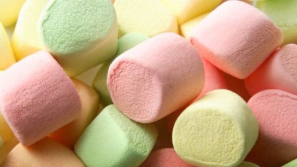 Marshmallows For Weight Loss: Nutrition & Calories