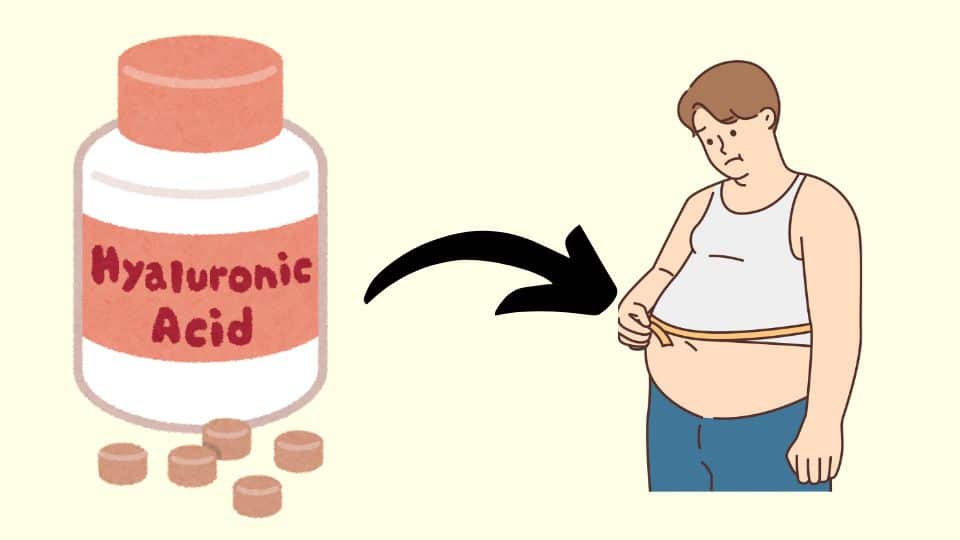 Does Hyaluronic acid cause weight gain, Must Know Guide