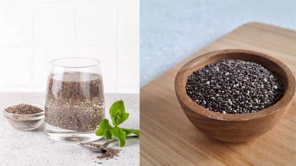 Chia Seeds and Sabja Seeds Are Same or Not?